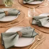 LOT DE 6 SERVIETTES DE TABLE HONO