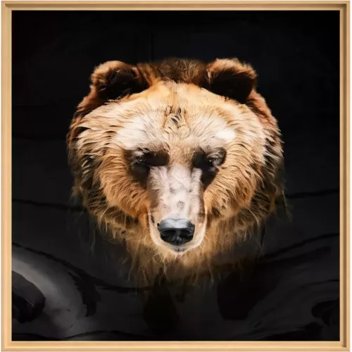 TABLEAU CHROMALUXE OURS ENCADRÉ CHÊNE 80X80 CM