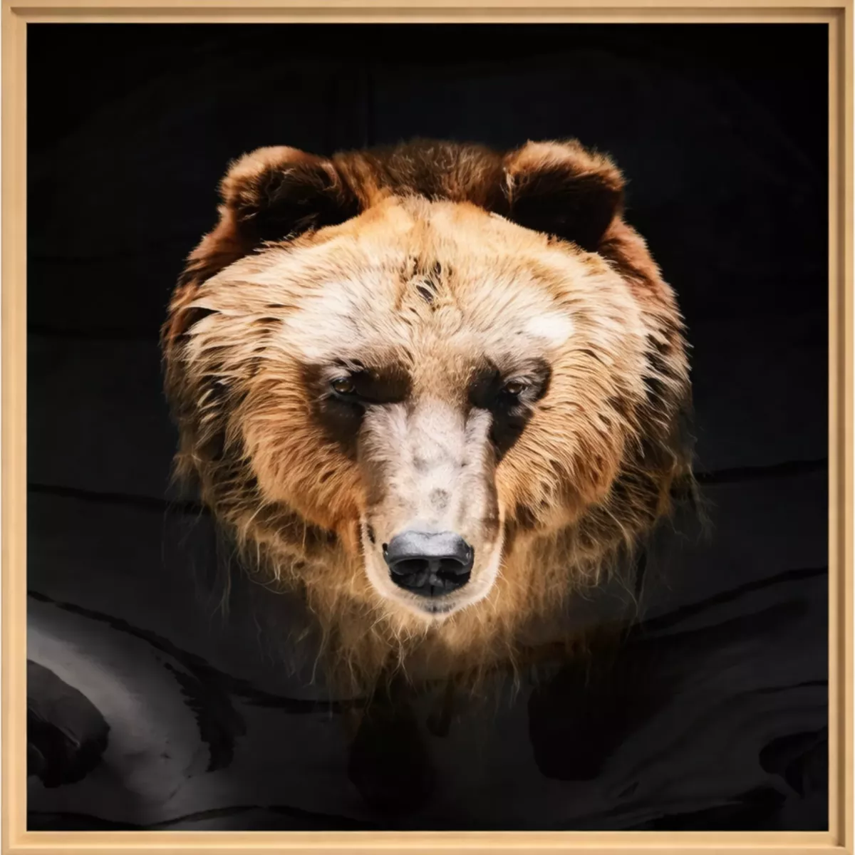TABLEAU CHROMALUXE OURS ENCADRÉ CHÊNE 80X80 CM