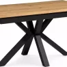 TABLE REPAS 160X90 CM + ALLONGE CENTRALE PAPILLON DE 60 CM