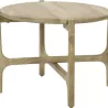 TABLE BASSE EN BOIS DE MANGUIER