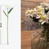 LOT 3 EDELWEISS FEUTRINE NEW HEIDI