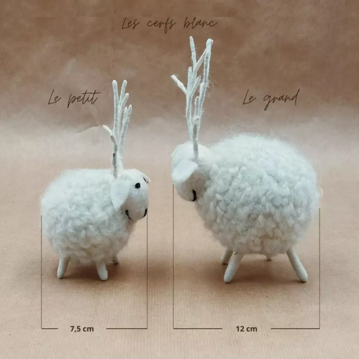 CERF BLANC