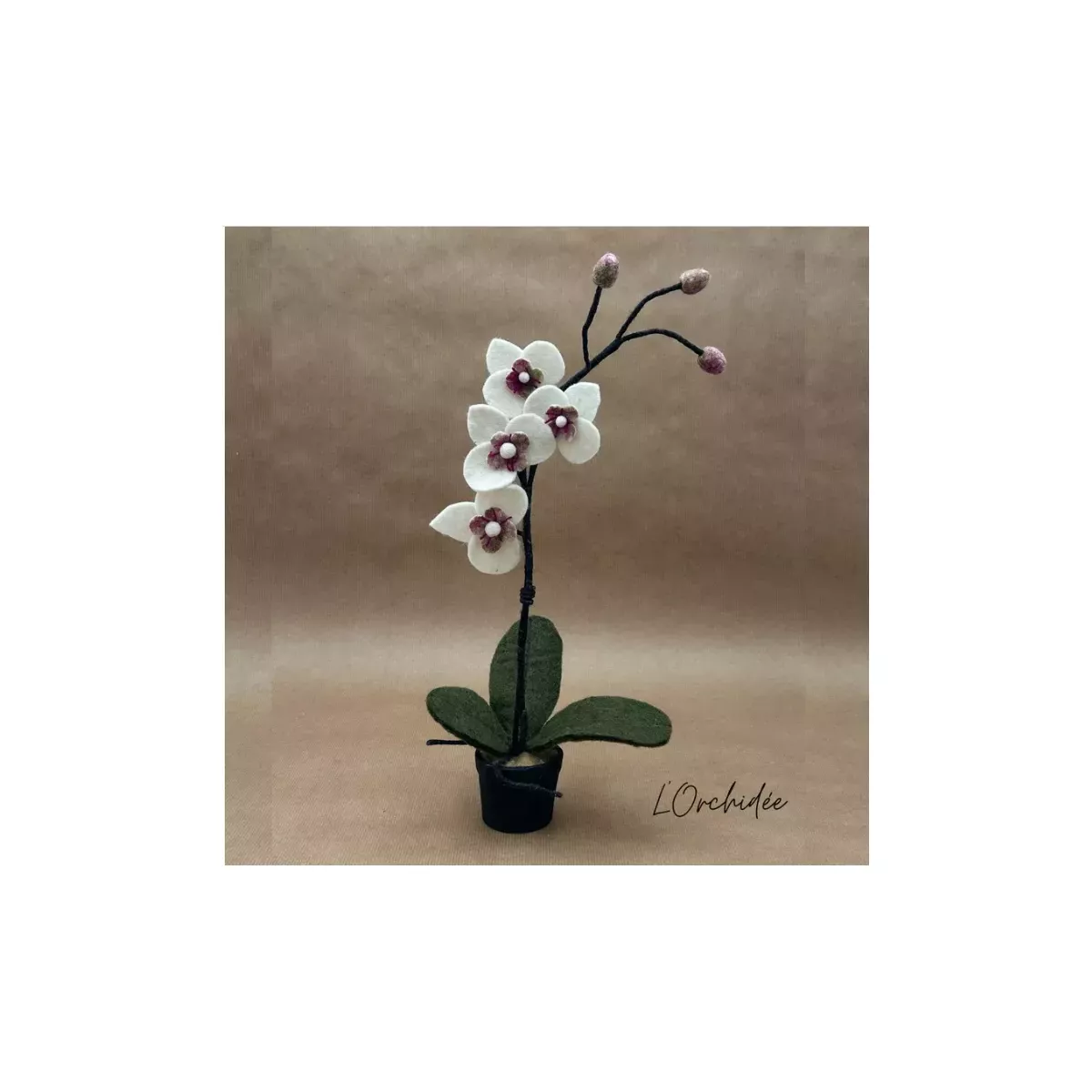 ORCHIDÉE AVEC POT