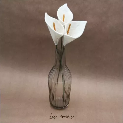 BRANCHE D'ARUM