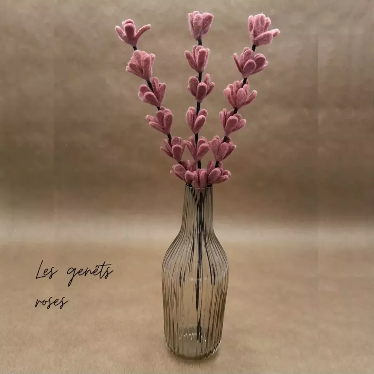 BRANCHE DE FLEURS GENETS FEUTRINE