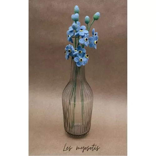 BRANCHE DE MYOSOTIS