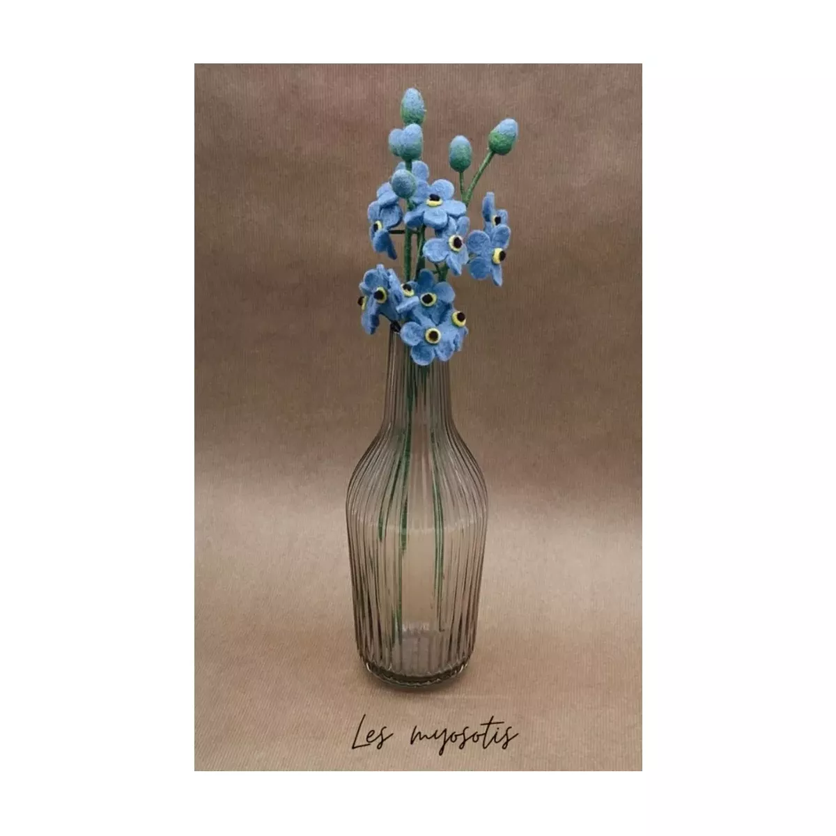 BRANCHE DE MYOSOTIS