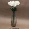 BRANCHE DE MARGUERITE