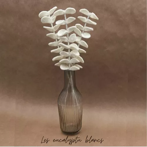 BRANCHE D'EUCALYPTUS BLANC