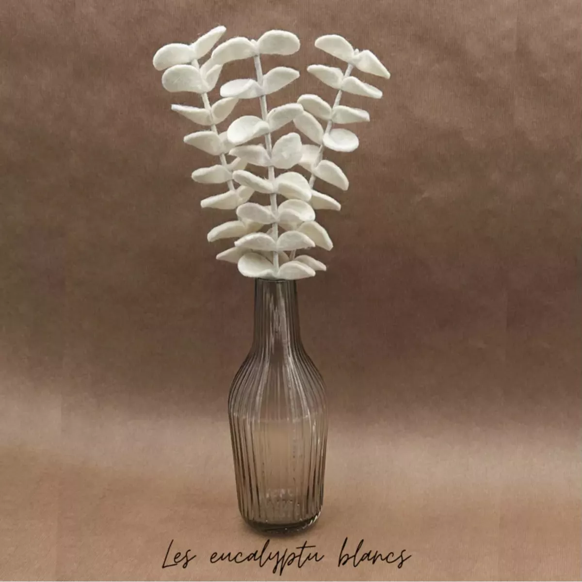 BRANCHE D'EUCALYPTUS BLANC