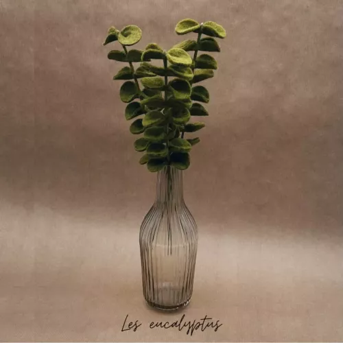 BRANCHE D'EUCALYPTUS VERT