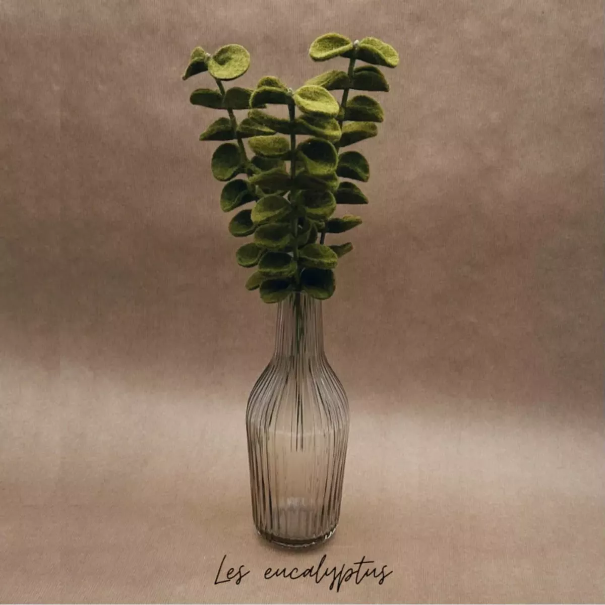 BRANCHE D'EUCALYPTUS VERT