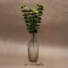 BRANCHE D'EUCALYPTUS VERT