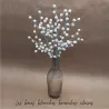 BRANCHE CLAIRE DE BAIES BLANCHES