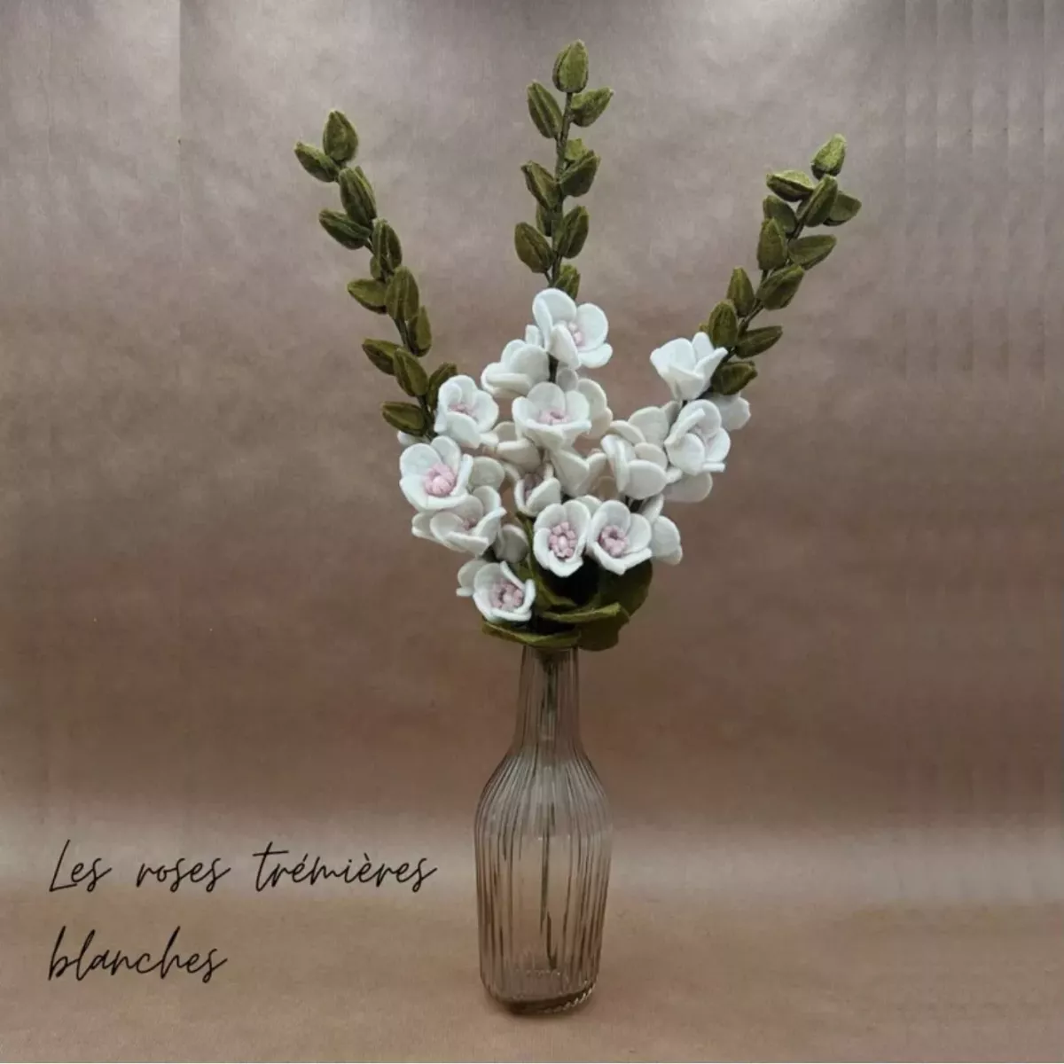 BRANCHE ROSE TRÉMIÈRE BLANCHE