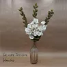 BRANCHE ROSE TRÉMIÈRE BLANCHE