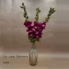 BRANCHE ROSE TRÉMIÈRE ROSE