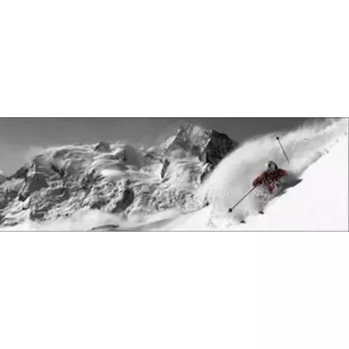 TABLEAU SUR DIBOND DESCENTE SKIEUR 40X120 CM