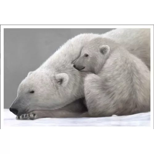 TOILE OURS POLAIRE 150X100 CM