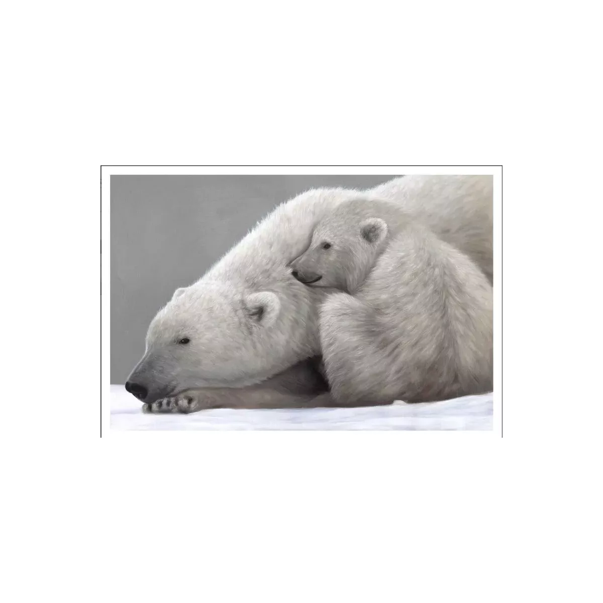 TOILE OURS POLAIRE 150X100 CM