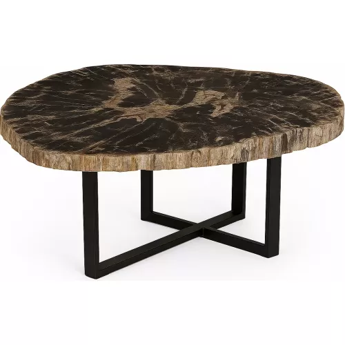 TABLE BASSE AVEC PLATEAU EN BOIS FOSSILISÉ