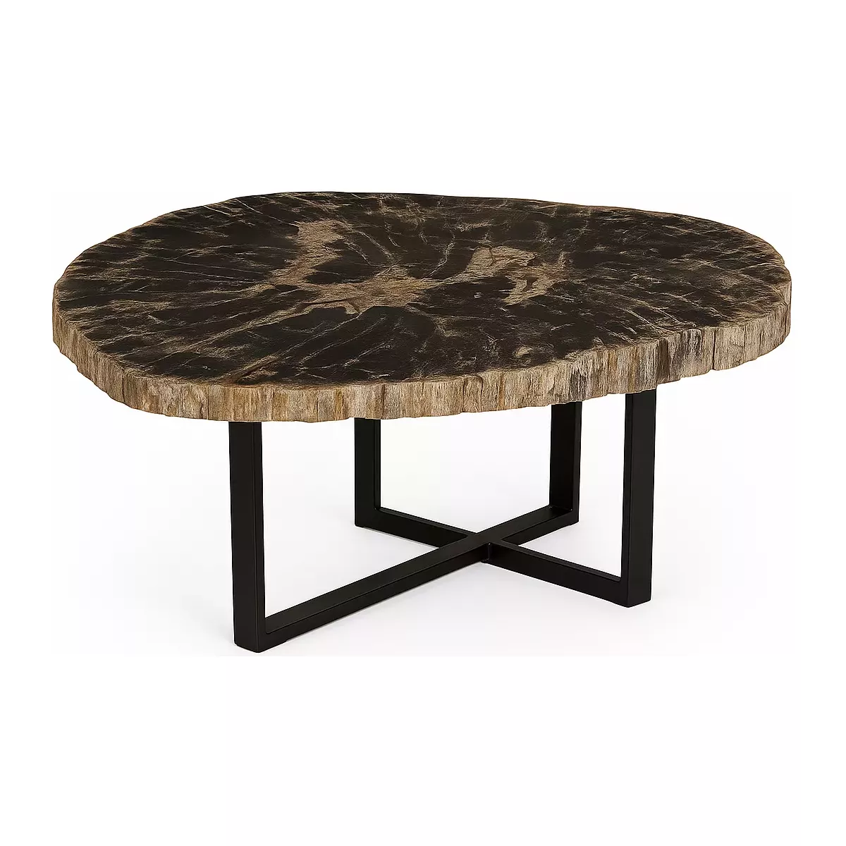 TABLE BASSE PLATEAU BOIS FOSSILISÉ