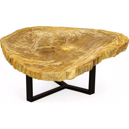 TABLE BASSE AVEC PLATEAU EN BOIS FOSSILISÉ BEIGE