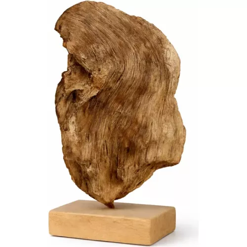 RACINE DE TECK PETIT MODÈLE