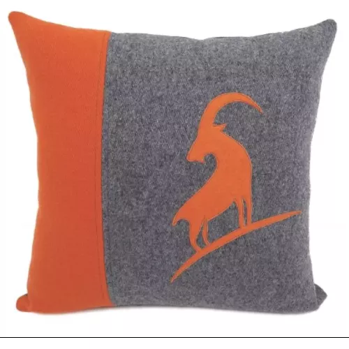 COUSSIN VANOISE