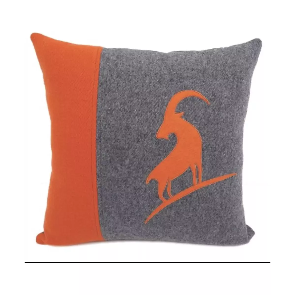 COUSSIN VANOISE
