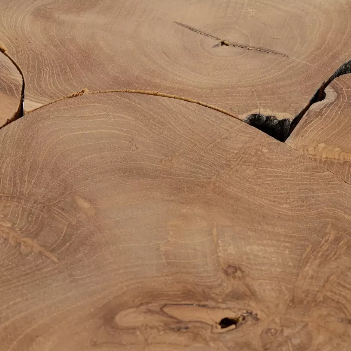 TABLE BASSE EN RACINE DE TECK