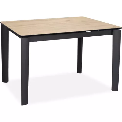 TABLE REPAS CERAMIQUE 120X80 CM