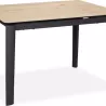 TABLE REPAS CERAMIQUE 120x80 CM